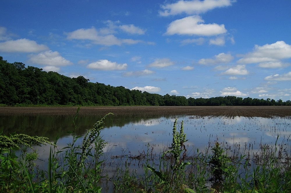 Meeman-Shelby Forest State Park, Shelby County, Tennessee