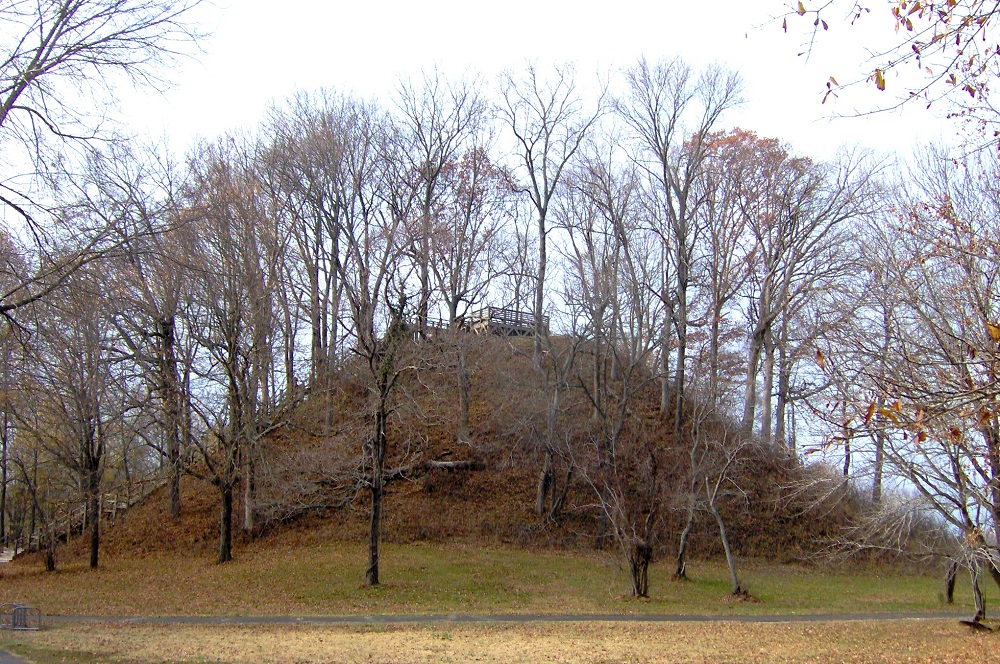 Pinson Mounds State Archaeological Park